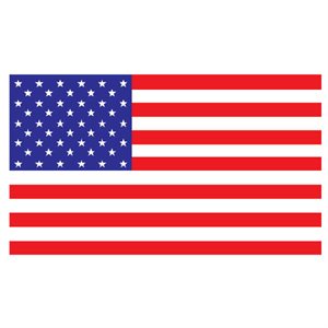 USA Flag 20x30cm