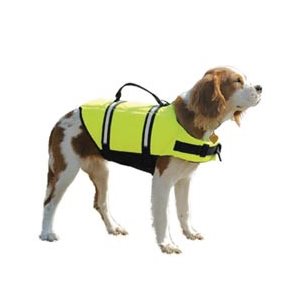 Veste de sécurité Paws pour chien (Jaune)