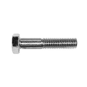 Hex cap screws 1 / 4-3 / 4 SS / 10